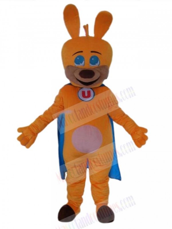 Dog mascot costume