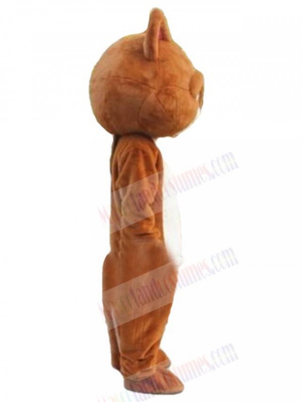 Cat mascot costume