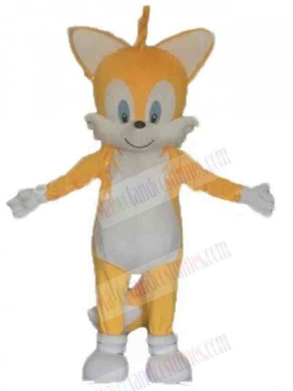 Cat mascot costume