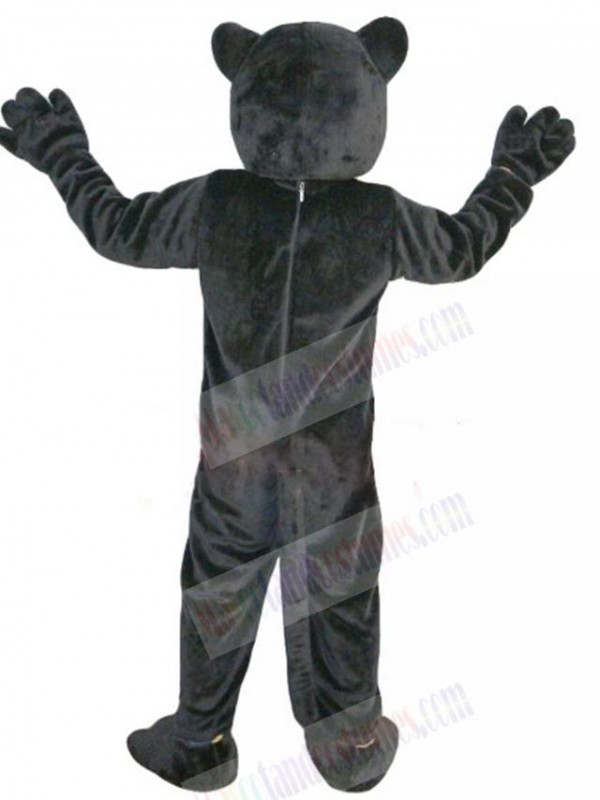 Cat mascot costume