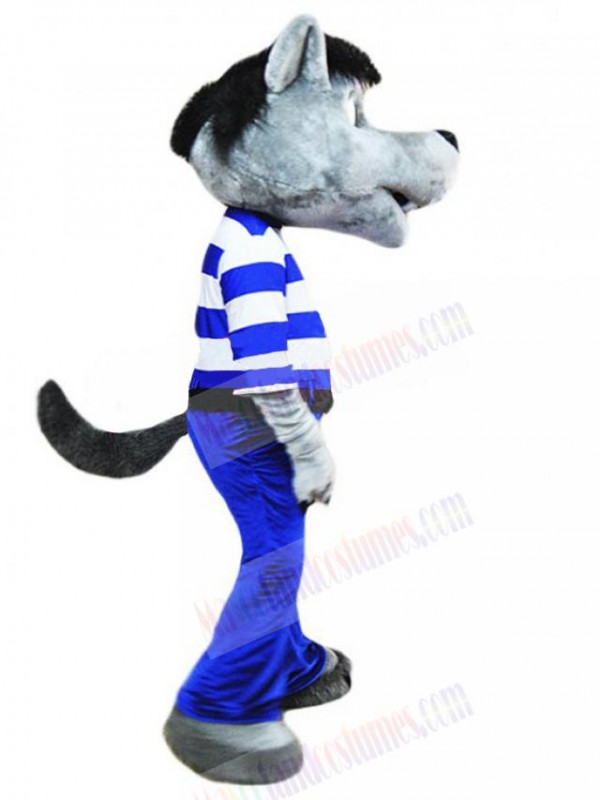 Wolf mascot costume