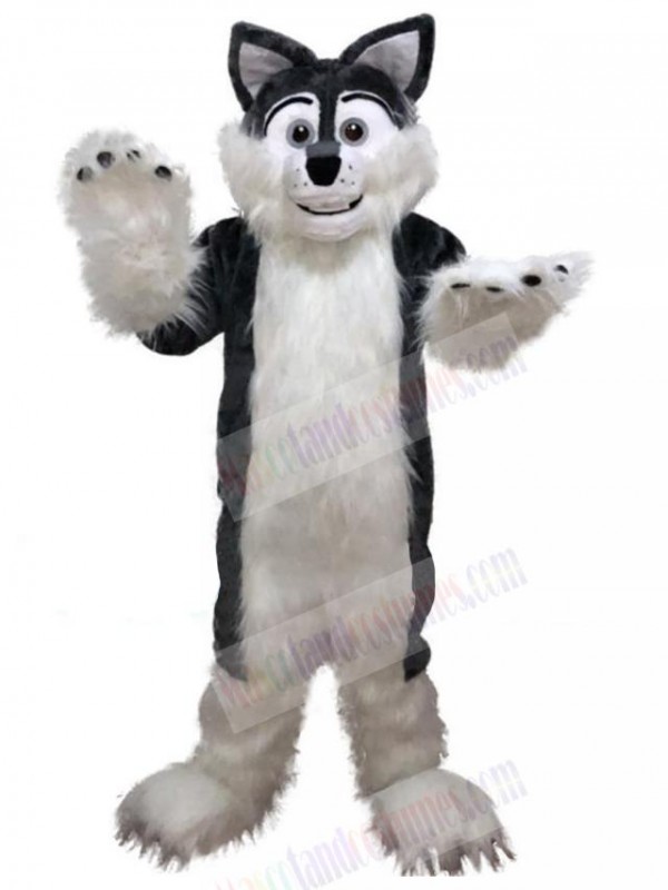 Wolf mascot costume