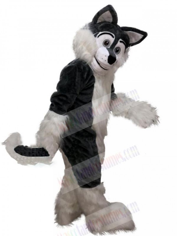 Wolf mascot costume