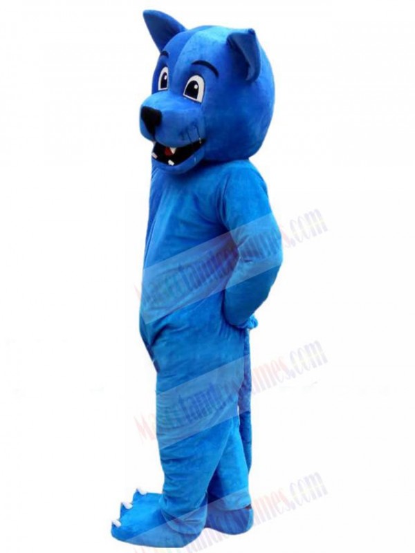 Wolf mascot costume