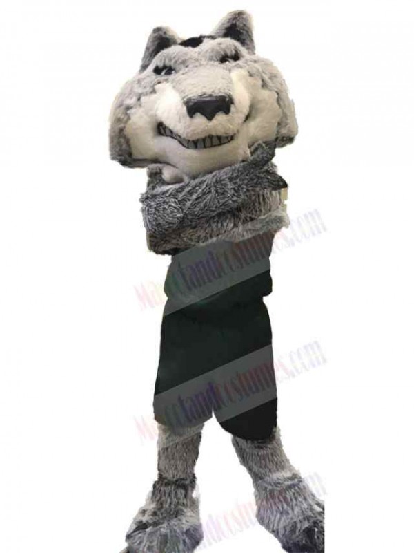 Wolf mascot costume