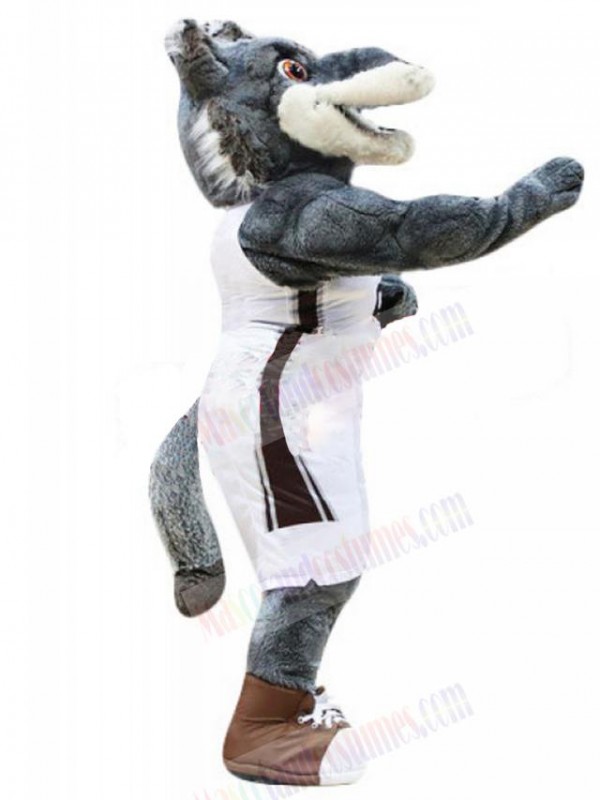 Wolf mascot costume