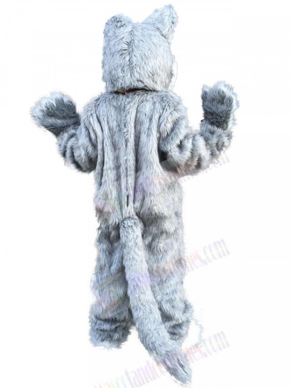 Wolf mascot costume