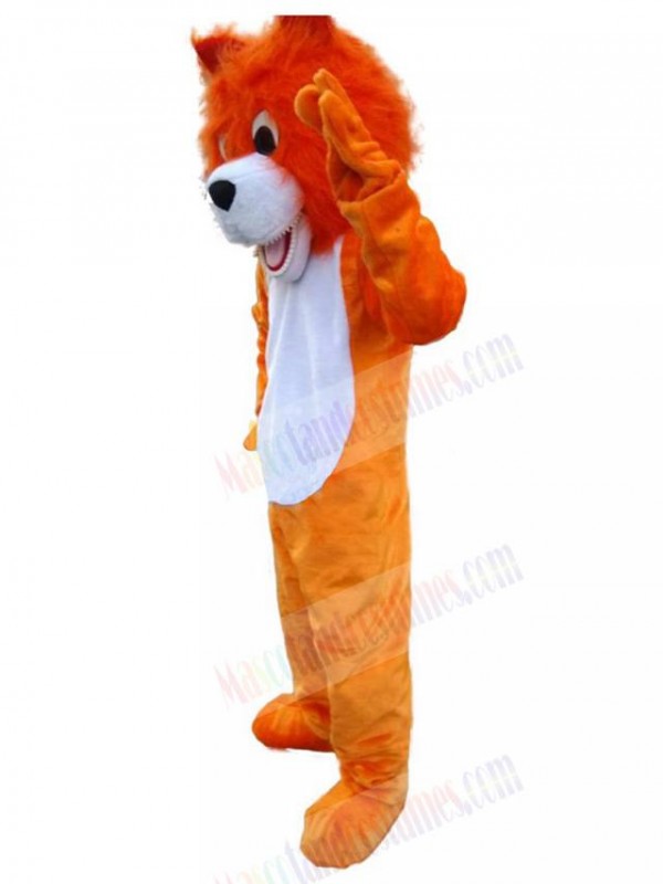 Wolf mascot costume