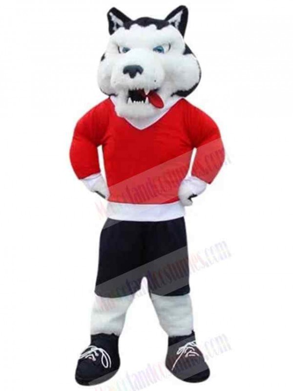 Wolf mascot costume
