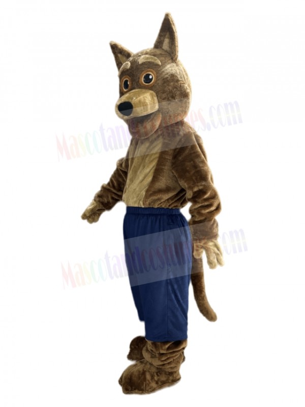 Coyote mascot costume