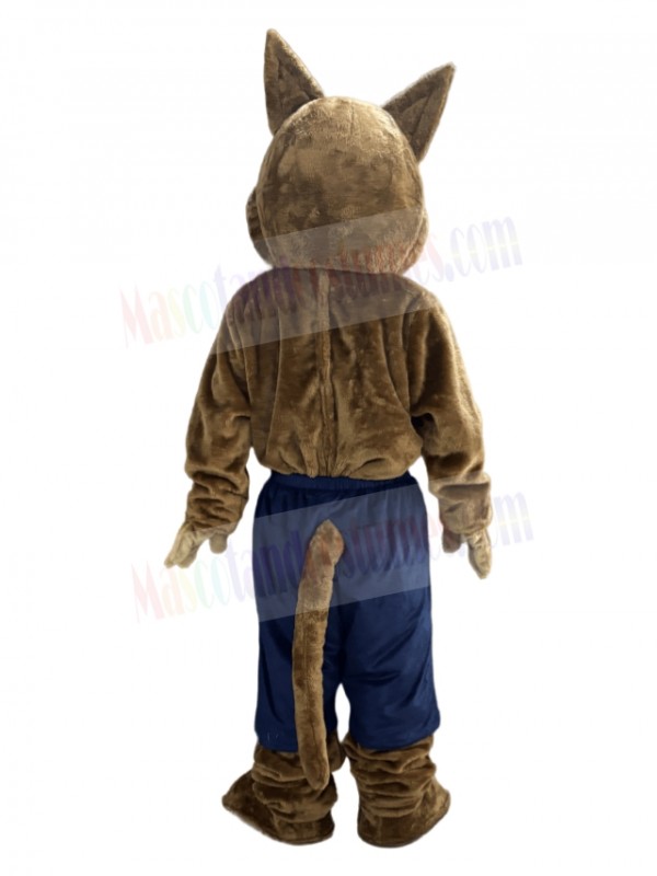 Coyote mascot costume