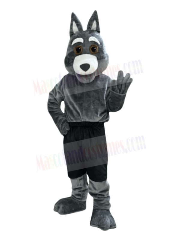 Coyote mascot costume