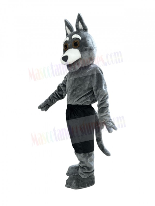 Coyote mascot costume