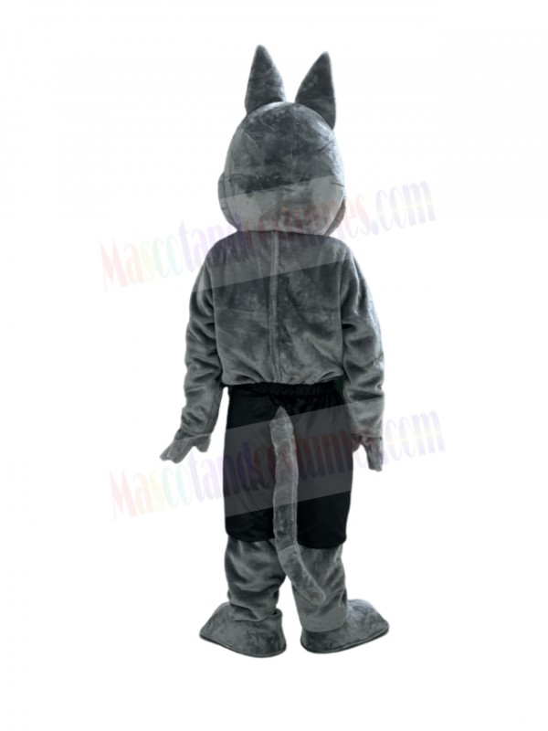 Coyote mascot costume