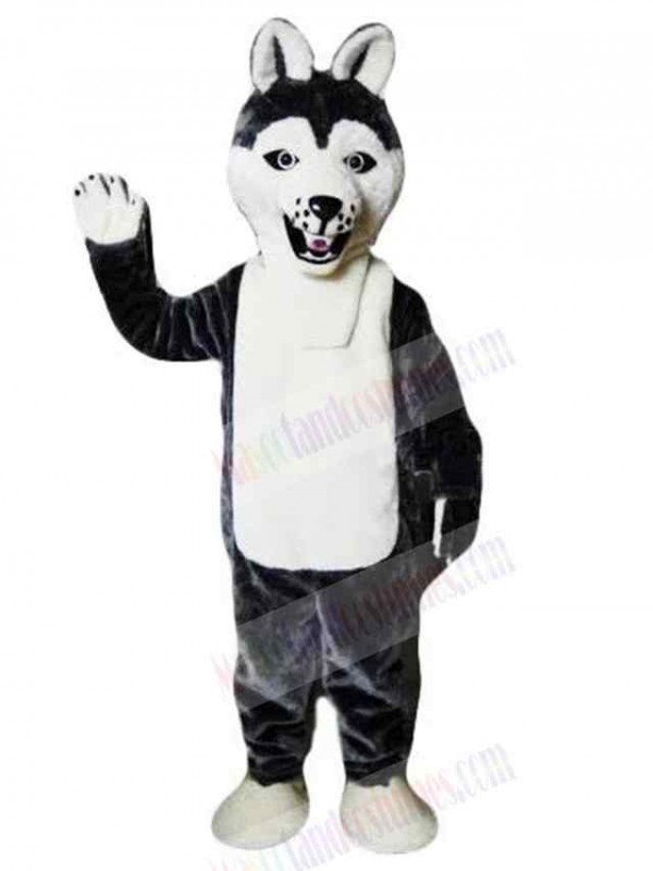 Wolf mascot costume