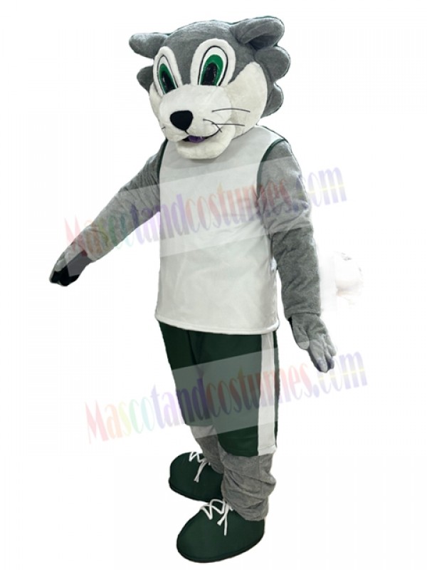 Wolf mascot costume