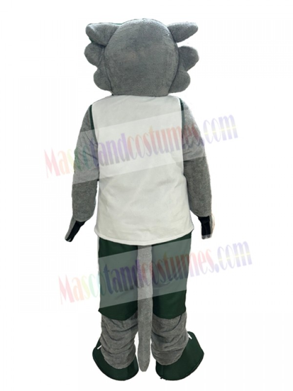 Wolf mascot costume