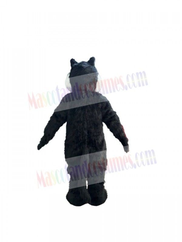 Wolf mascot costume