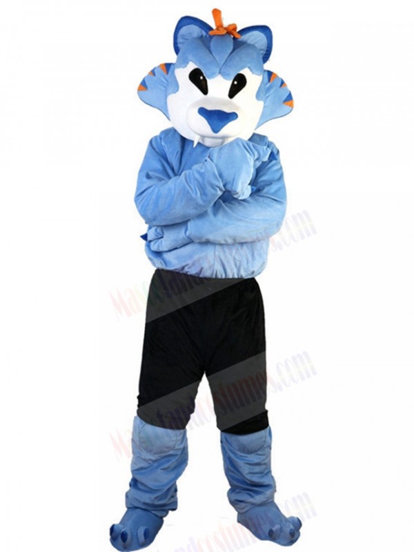 Wolf mascot costume