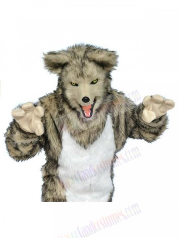 Wolf mascot costume