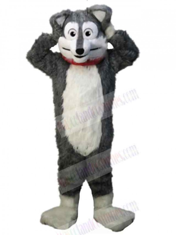 Wolf mascot costume
