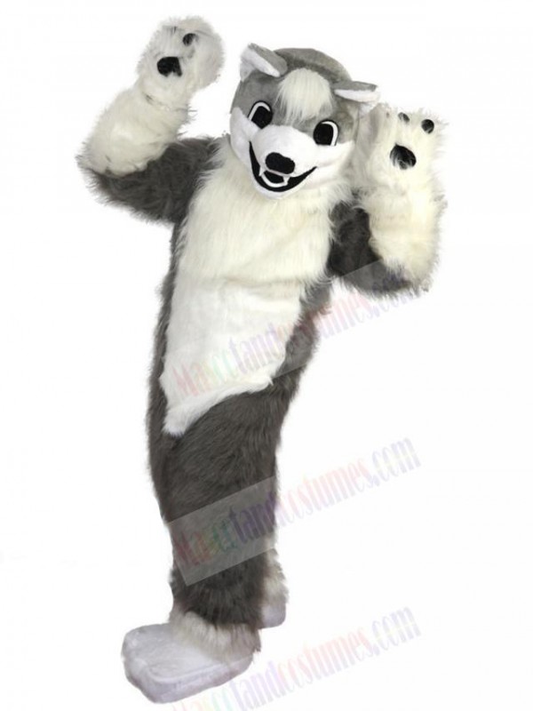 Wolf mascot costume