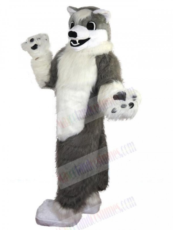 Wolf mascot costume