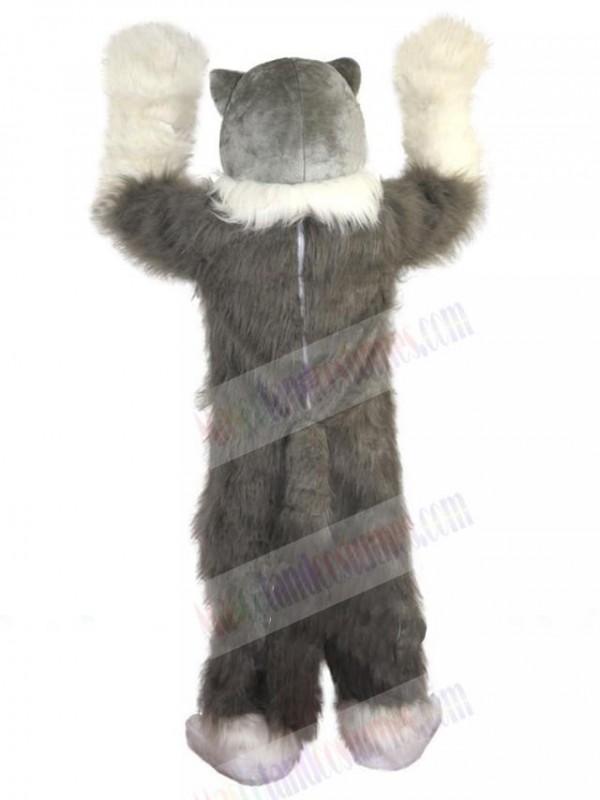 Wolf mascot costume