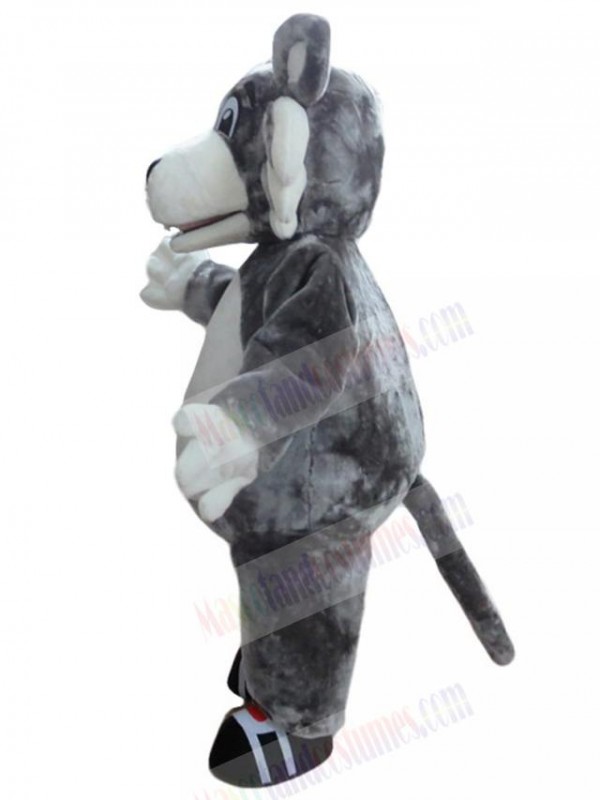 Wolf mascot costume