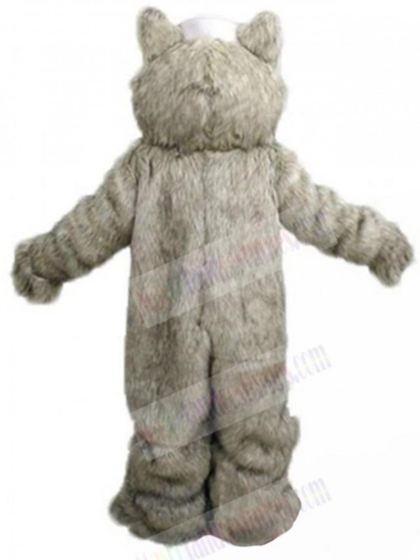 Wolf mascot costume