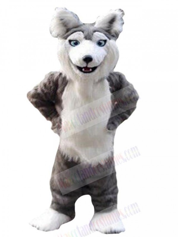 Wolf mascot costume