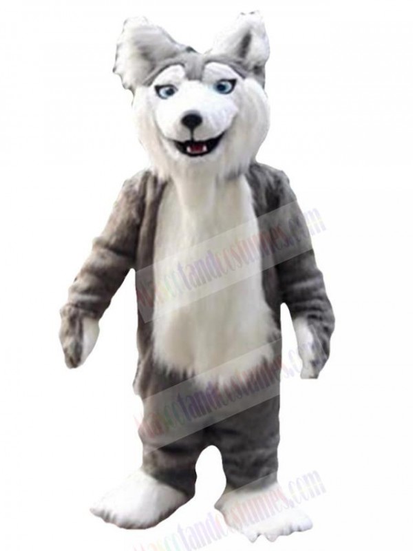 Wolf mascot costume