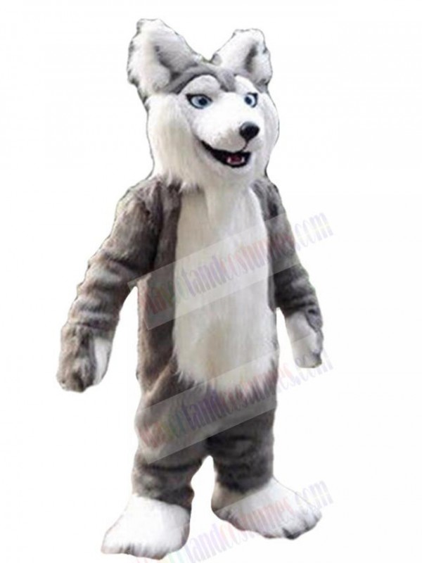 Wolf mascot costume