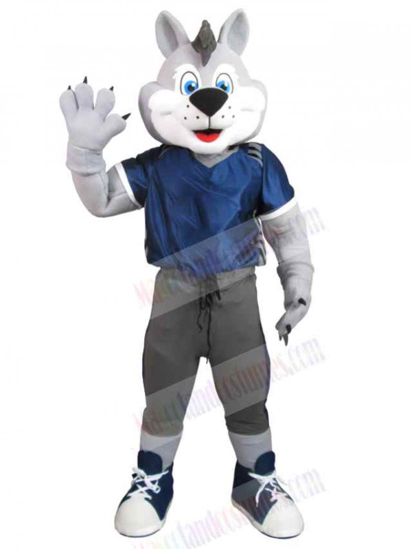 Wolf mascot costume