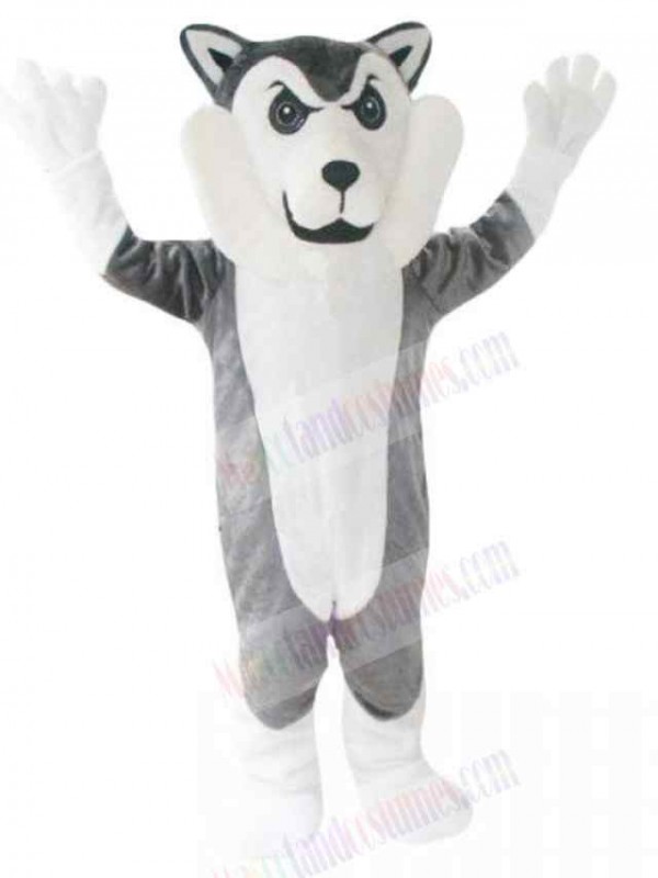 Wolf mascot costume
