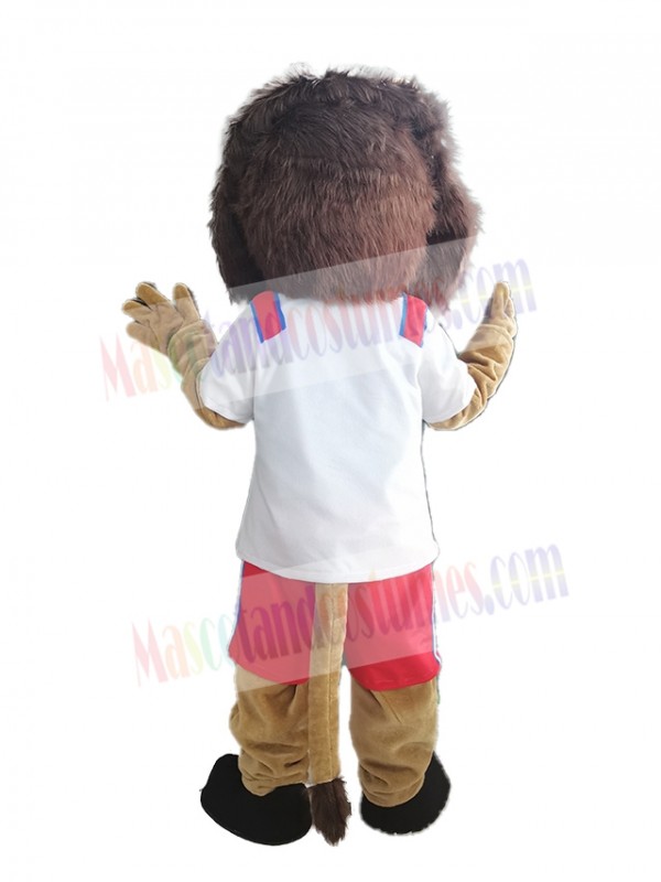 Lion mascot costume