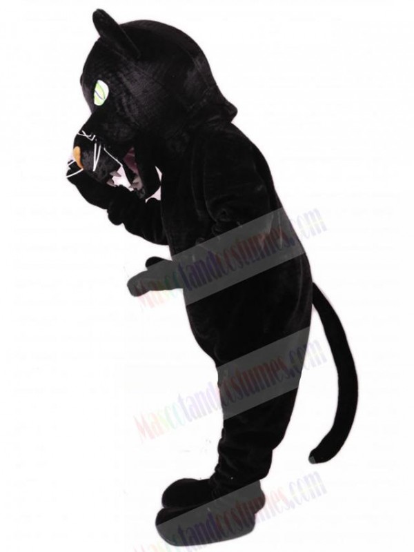 Panther mascot costume