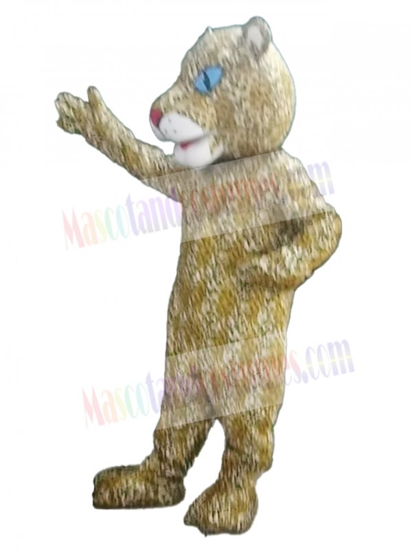 Leopard mascot costume