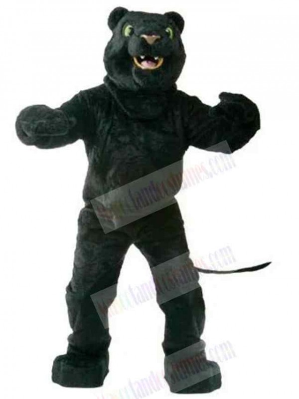 Panther mascot costume