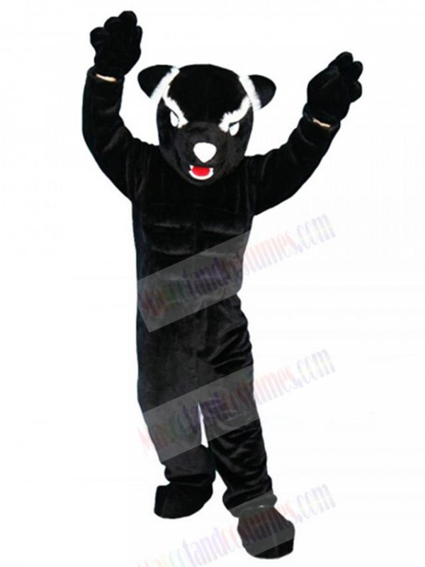 Panther mascot costume