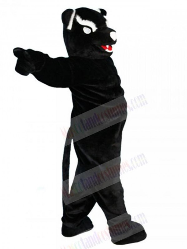 Panther mascot costume