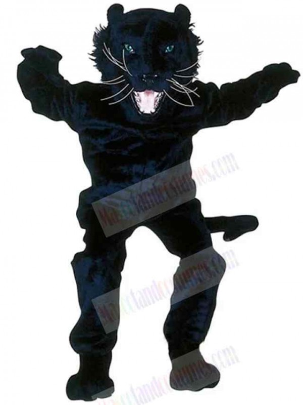 Panther mascot costume