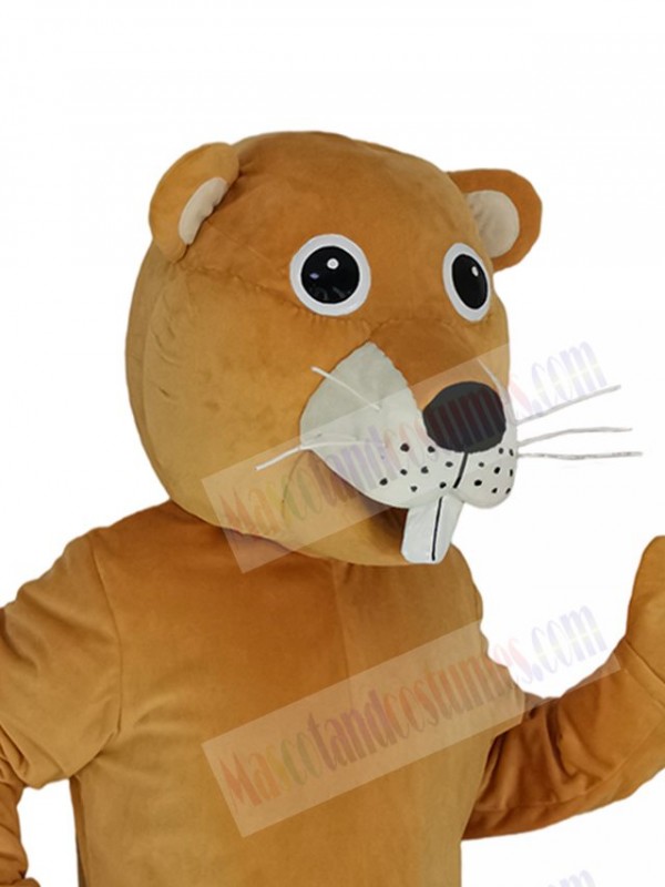 Beaver mascot costume