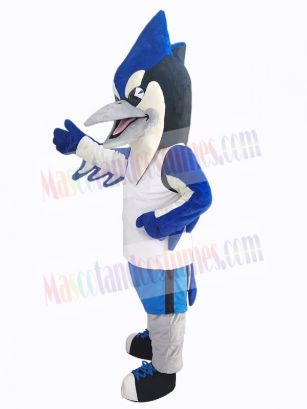 Bird mascot costume