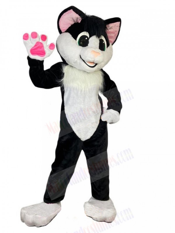cat mascot costume