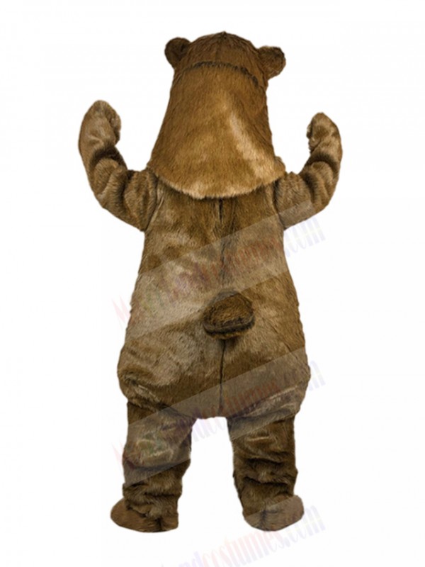 bear mascot costume