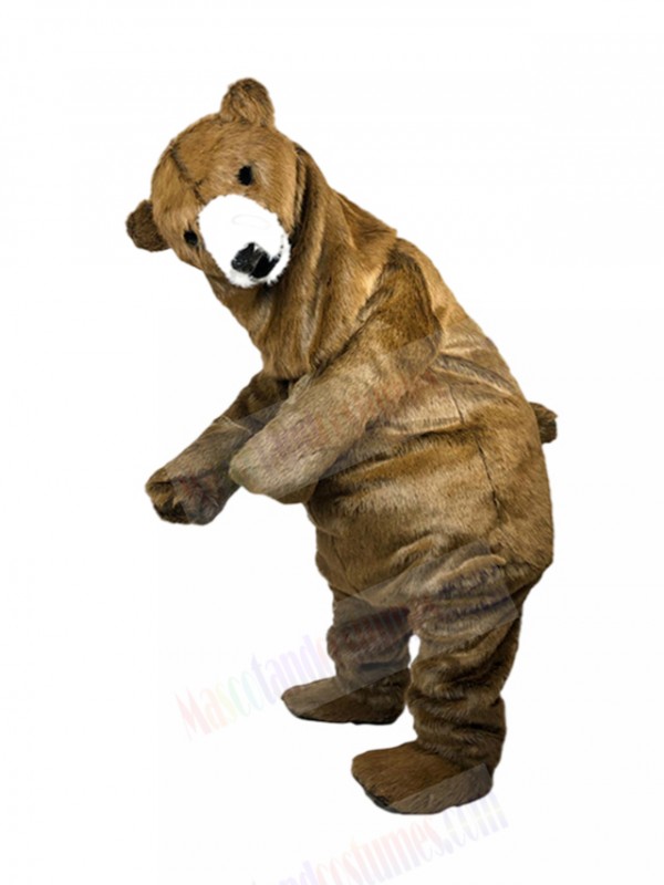 bear mascot costume