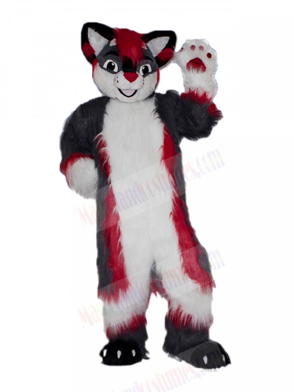 bat mascot costume