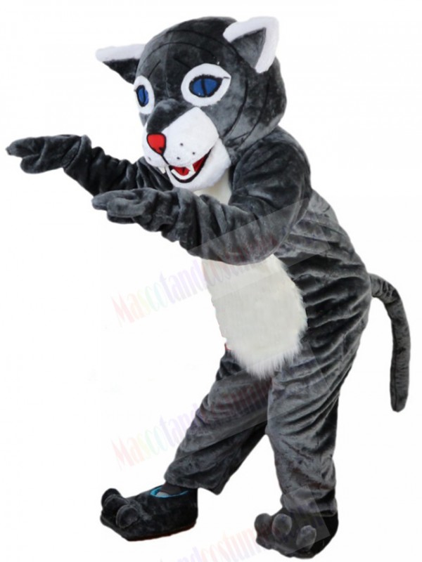 Wildcat mascot costume