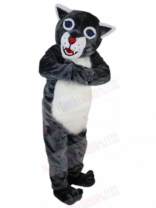 Wildcat mascot costume